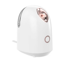 Beauty Mist Steamer