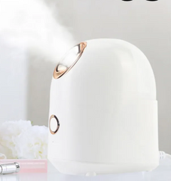 Beauty Mist Steamer