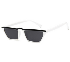 Fashionable Sun Shades